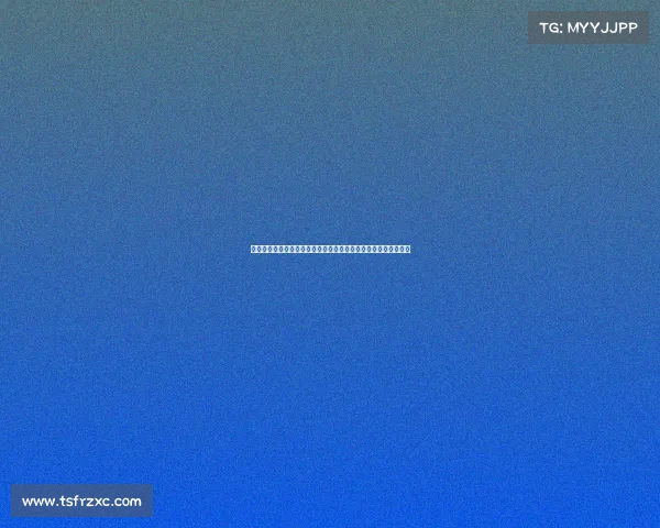 二零二四赛季一级方程式世界锦标赛高速竞技与技术革新巅峰对决