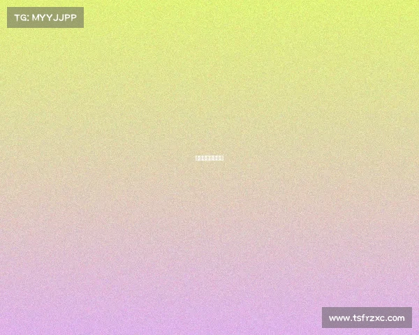 我的神奇队友作文